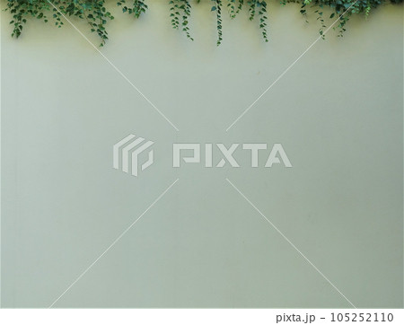 Background with grapes in the garden Background with grapes in the garden 105252110