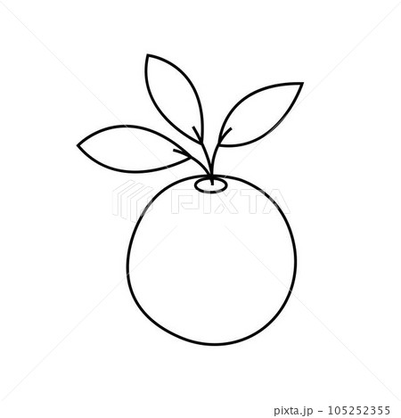 Icon orange. Icon of orange with twig on white background. Vector illustration. 105252355