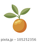 Orange. Orange twig on white background. Vector illustration. 105252356