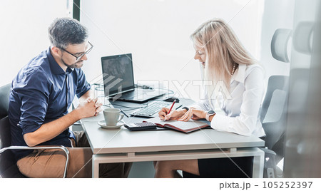 Business meeting. Client consulting. Confident business woman, real estate agent, financial advisor explaining details of project or financial product to client in office Business meeting. Client consulting. Confident business woman, real estate agent, financial advisor explaining details of project or financial product to client in office 105252397