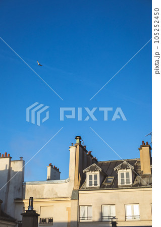 晴天のパリ生活 105252450