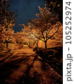 綺麗な夜桜 105252974