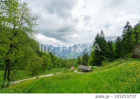 Visit the Hallstatt Salt Mine on a dirt forest trail. Visit the Hallstatt Salt Mine on a dirt forest trail. 105253737