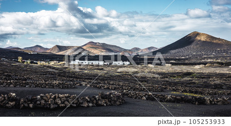 Traditional white houses in black volcanic landscape of La Geria wine growing region with view of Timanfaya National Park in Lanzarote. Touristic attraction in Lanzarote island, Canary Islands, Spain 105253933