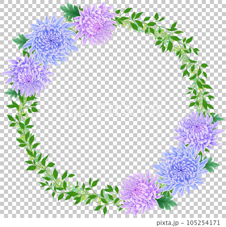 Chrysanthemum wreath circular frame Chrysanthemum wreath circular frame 105254171