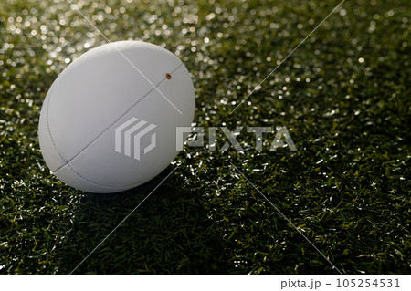 White rugby ball over grass with copy space, in slow motion 105254531