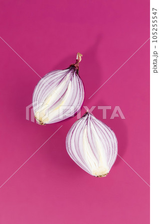 vegetable still life photo, onion 105255547