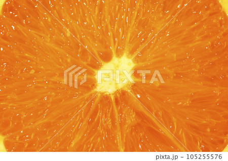 fruit still life photo, orange 105255576