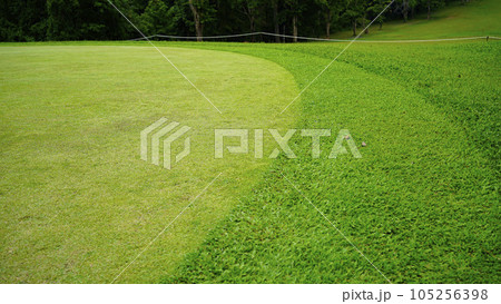 Beautiful golf course in a sunny day. Background evening golf course has sunlight shining down. Beautiful golf course in a sunny day. Background evening golf course has sunlight shining down. 105256398
