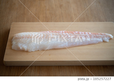 天然物のヒラメ 105257227