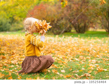 Autumn outdoor child portrait with bunch of yellow leaves. 105258464