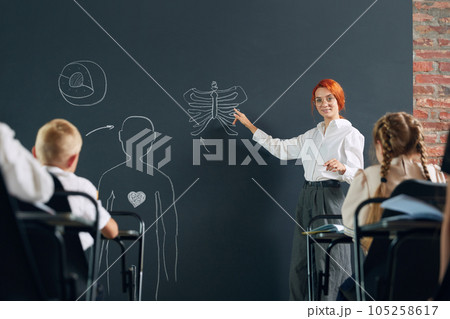 Young redhead woman, teacher standing at chalkboard and teaching anatomy to little children in primary school 105258617
