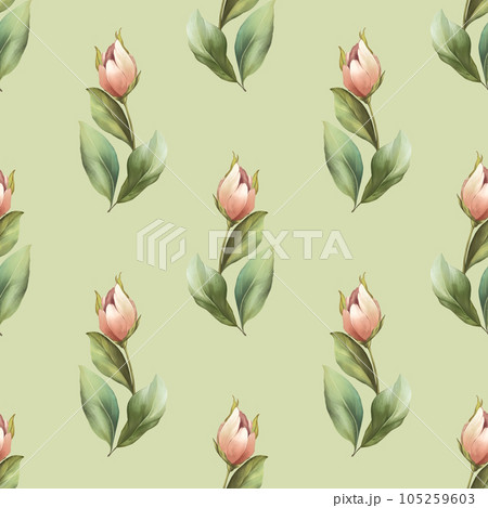 Seamless pattern with pink tulips on green. Floral background with hand drawn flowers. 105259603