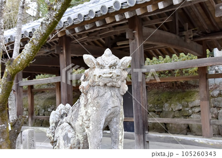 吉備津神社の狛犬 105260343