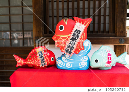埼玉県川越市　川越氷川神社　あい鯛 105260752