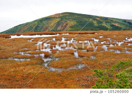 池ノ岳の姫ノ池からの平ヶ岳山頂 池ノ岳の姫ノ池からの平ヶ岳山頂 105260800
