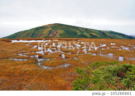 池ノ岳の姫ノ池からの平ヶ岳山頂 池ノ岳の姫ノ池からの平ヶ岳山頂 105260801