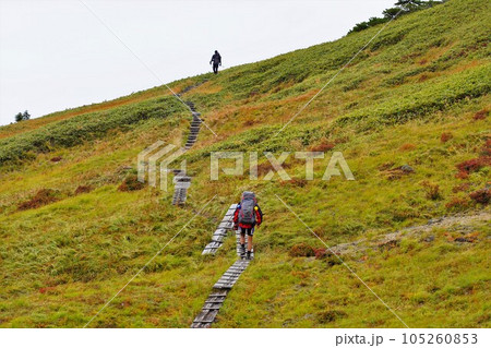 平ヶ岳の玉子石への木道を歩く登山者 105260853