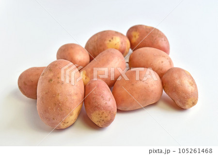 ジャガイモ(インカのひとみ) ジャガイモ(インカのひとみ) 105261468