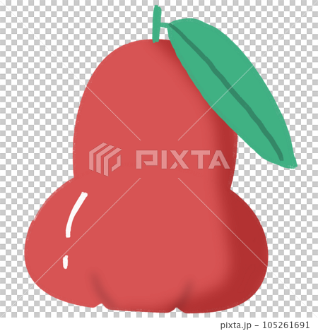 Rose apple 105261691