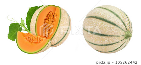 Cantaloupe melon isolated on white background with full depth of field, 105262442