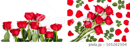 beautiful red rose with leaves isolated on white background with copy space for your text. Top view. Flat lay pattern 105262504