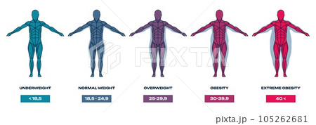 Body mass index. Human silhouette with different shapes and sizes, underweight, overweight and obese people. Mass index chart vector illustration 105262681