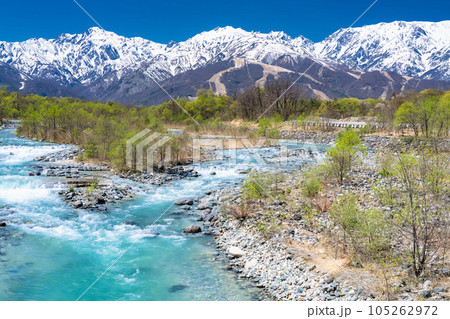 《長野県》残雪の北アルプスと松川の清流・白馬村 《長野県》残雪の北アルプスと松川の清流・白馬村 105262972