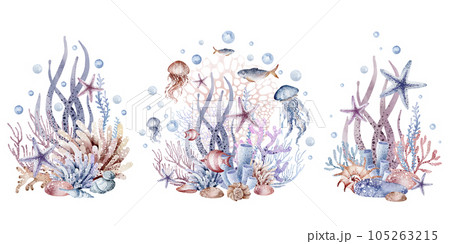 Composition of marine plants. Set of marine watercolor illustrations of sea corals, starfish, algae, shells, bubbles. Isolated on white background. 105263215