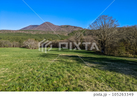 戸隠牧場より高デッキ山と快晴の青空 戸隠牧場より高デッキ山と快晴の青空 105263349