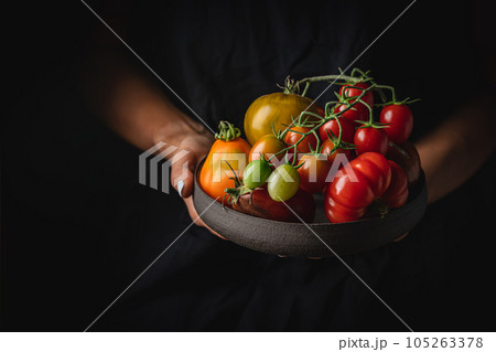 Mix colorful tomatoes Mix colorful tomatoes 105263378
