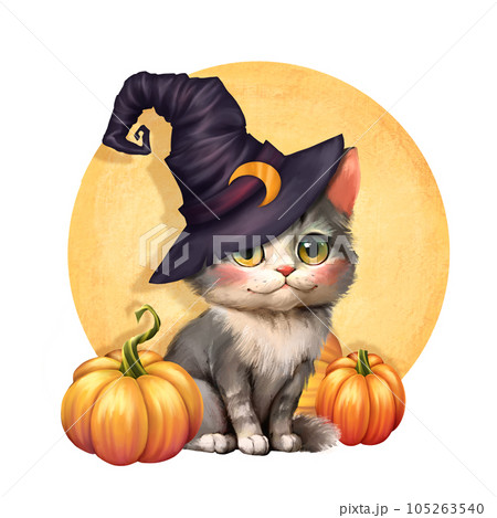 Cute cat in a witch hat sitting with a Halloween pumpkins Cute cat in a witch hat sitting with a Halloween pumpkins 105263540