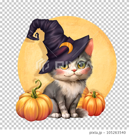 Cute cat in a witch hat sitting with a Halloween pumpkins Cute cat in a witch hat sitting with a Halloween pumpkins 105263540