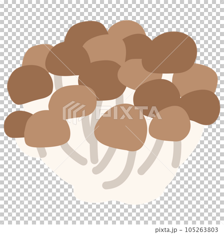 Illustration of a simple deformed shimeji mushroom 105263803
