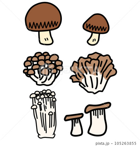 よく料理に使われるキノコのイラストセット 105263855