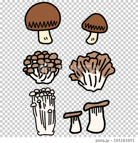 よく料理に使われるキノコのイラストセット 105263855