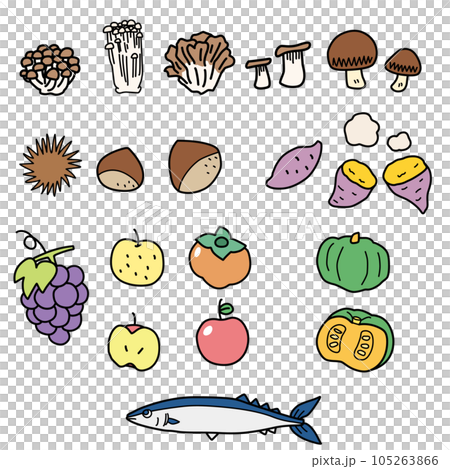 食欲の秋をイメージした秋の食材のシンプルイラストセット 105263866