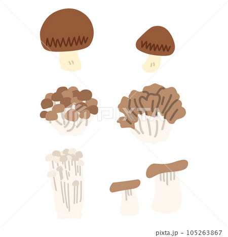よく料理に使われるキノコのイラストセット 105263867