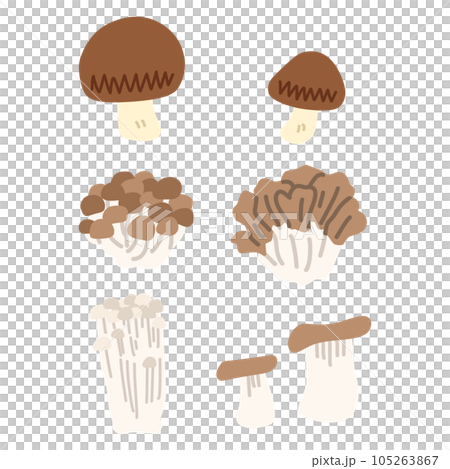 よく料理に使われるキノコのイラストセット 105263867