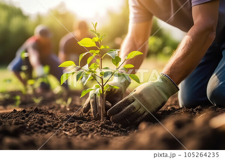 Growing Together Community Engagement in Sustainable Practices through Tree Planting and Local Food Production. created with Generative AI 105264235