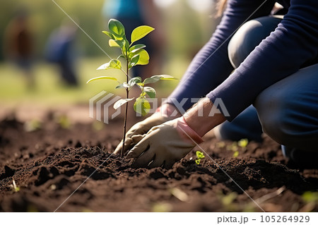 Growing Together Community Engagement in Sustainable Local Food Production and Habitat Restoration. created with Generative AI 105264929