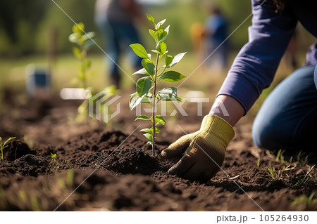 Growing Together Community Engagement in Sustainable Local Food Production and Habitat Restoration. created with Generative AI 105264930