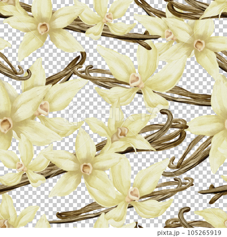 Vanilla Flowers seamless Pattern. Hand drawn floral watercolor illustration of orchids and sticks. Sketch of food spice or ingredient for essential oil for wrapping paper on white isolated background. Vanilla Flowers seamless Pattern. Hand drawn floral watercolor illustration of orchids and sticks. Sketch of food spice or ingredient for essential oil for wrapping paper on white isolated background. 105265919