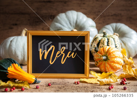 Autumn Pumpkin Decoration, Text Merci Means Thank You, Golden Frame Autumn Pumpkin Decoration, Text Merci Means Thank You, Golden Frame 105266335