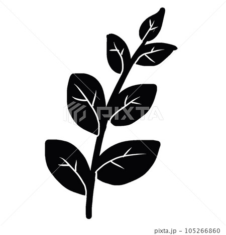 decoration decorative design different drawn eco elegance decoration decorative design different drawn eco elegance 105266860