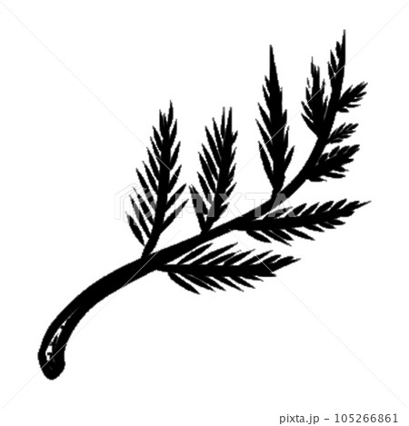 decoration decorative design different drawn eco elegance decoration decorative design different drawn eco elegance 105266861