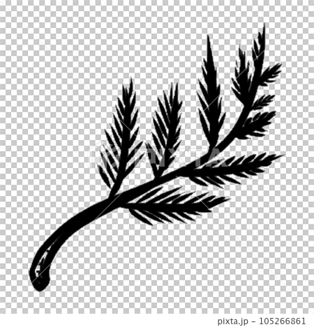 decoration decorative design different drawn eco elegance decoration decorative design different drawn eco elegance 105266861