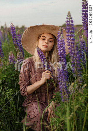 A beautiful woman in a straw hat walks in a field with purple flowers. A walk in nature in the lupin field 105266887