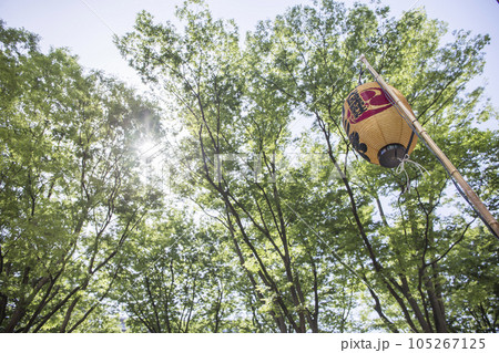 新緑イメージ　木と緑　提灯　祭　緑　青葉　 105267125