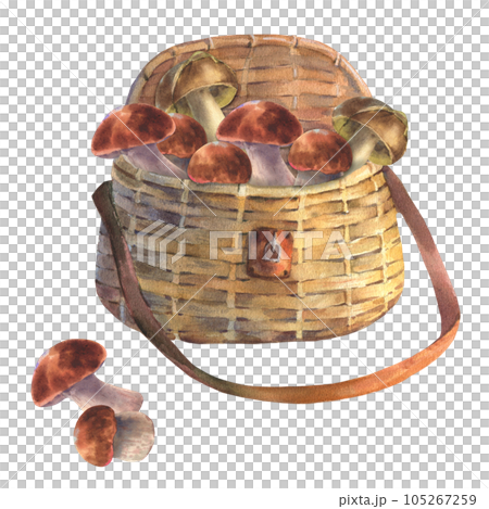 Set of edible mushrooms and wicker basket, watercolor illustration. Forest woodland clipart with boletus for card design, print, fabric Set of edible mushrooms and wicker basket, watercolor illustration. Forest woodland clipart with boletus for card design, print, fabric 105267259